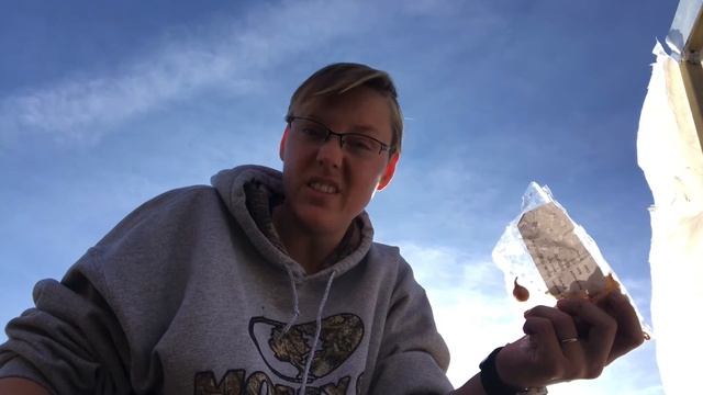 Onions and saving seedlings смотреть онлайн