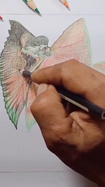 Drawing of Dilophosaurus, the spiny predator.#shorts #dinosaurs смотреть онлайн