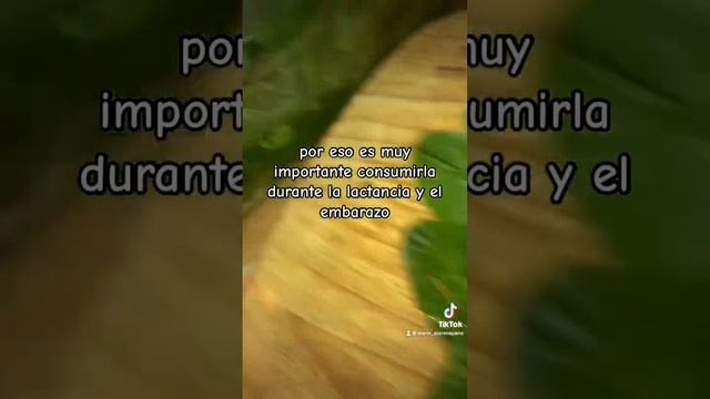 20 de abril de 2023 смотреть онлайн