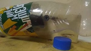 Мышеловка из пластиковой бутылки
