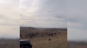 Жездуха - 48 серия / Кокпар