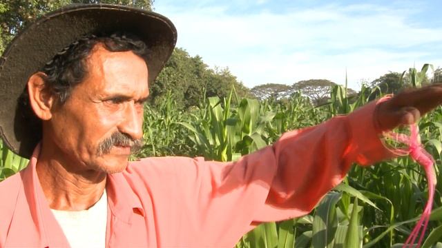 ISDR Rio OCHA смотреть онлайн