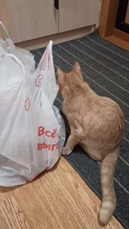 Таможня встречает меня на пороге 😊
