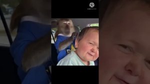 Хазбик против Абдурозик полный бой.