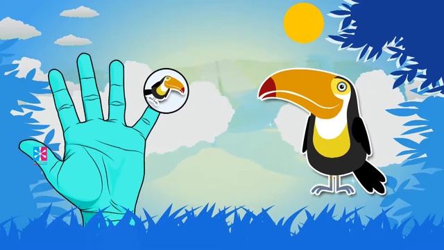 The Finger Family Toucan || Finger Family Nursery Rhymes & Songs For Kids смотреть онлайн