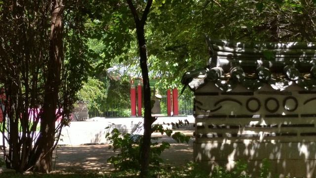 Сеульский парк в Ташкенте #парк #сеул #tashkent #корея Подписывайтесь и 👍 смотреть онлайн