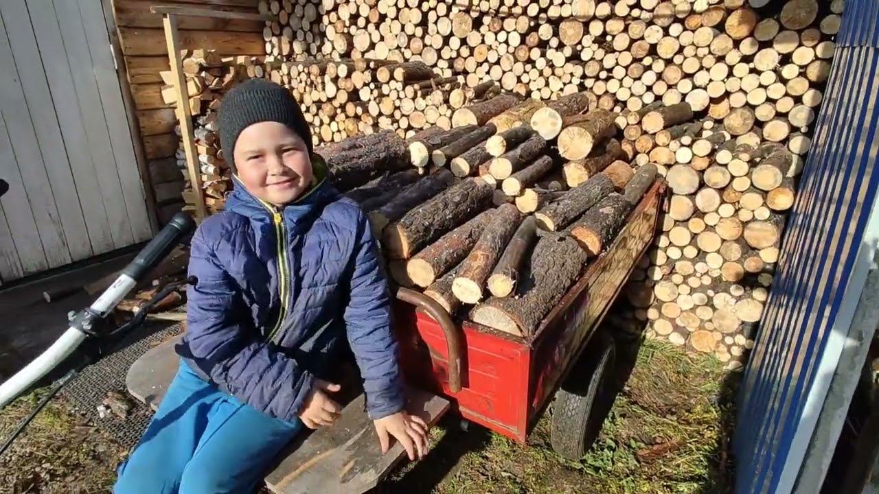 Закончили убирать дрова // Живём в деревне