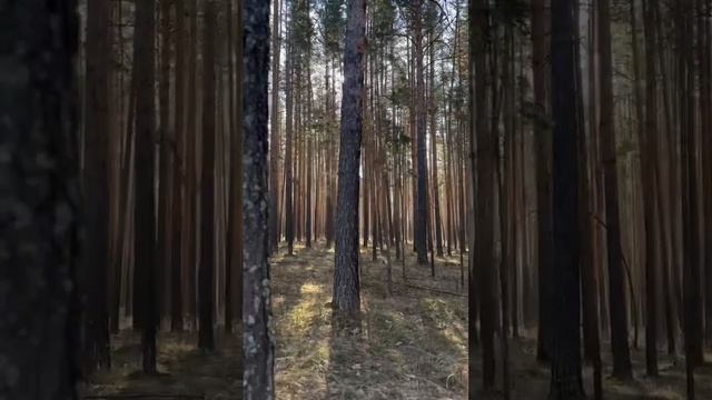 Рәмзиә Мәҡсүтова - Донъя шундай зәңгәр...