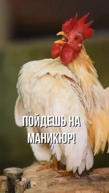 Отмечай друзей смотреть онлайн