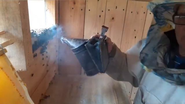 Контроль отстройки вощины. смотреть онлайн