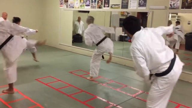 Bushido karate shotokan USA Kata training 3 смотреть онлайн