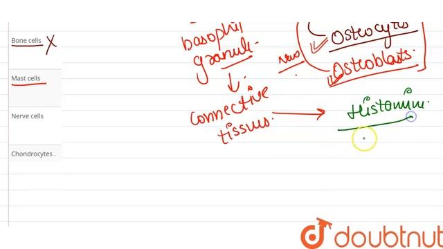 Nissal granules occur in смотреть онлайн