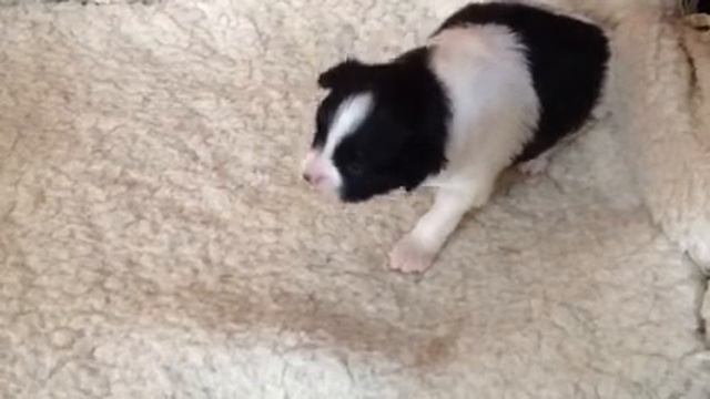 N-girl 18 days old смотреть онлайн