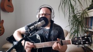 На улице Каштановой (Ю. Антонов) кавер