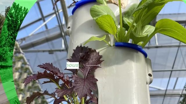 Fresher Food смотреть онлайн