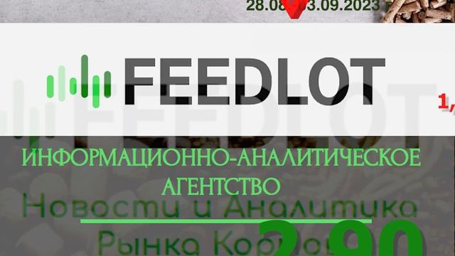 Мониторинг цен за  35 неделю 2023 г #аналитика #кормовыедобавки