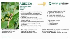 Ультрарання соя Амбелла та Адесса❗️Опис та характеристика ❗️