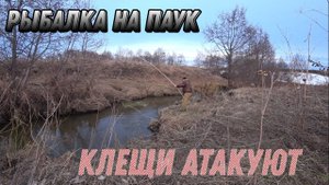 Рыбалка на Паук (Подъёмник)! Весенняя рыбалка! Первый выход! Очень много клещей!