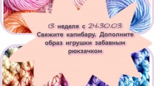 Отчет в сп - вязание это серьезно. Капибара