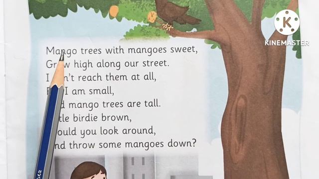 Mango  Trees  आम क पड  SrKg Rhymes Songs  Poems  Hindi  English  SD Teacher