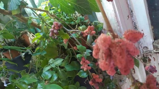 Когда в интернете кто-то неправ))) смотреть онлайн