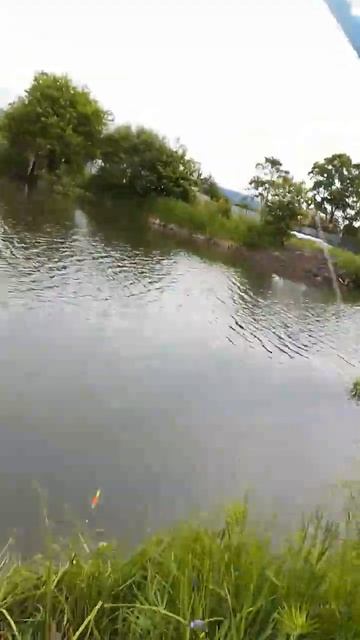 поймал окуня и краснопёрку. смотреть онлайн