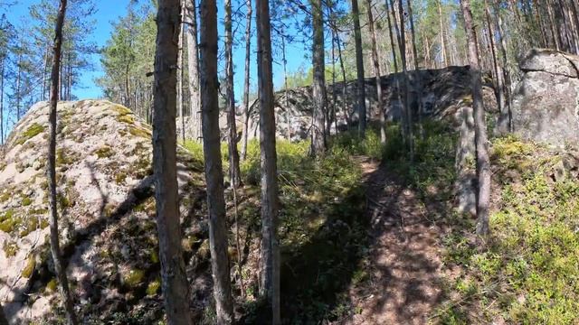 Прогулка по скальному массиву. Звуки леса и птиц. Вид северной природы, гранитные скалы | 4K