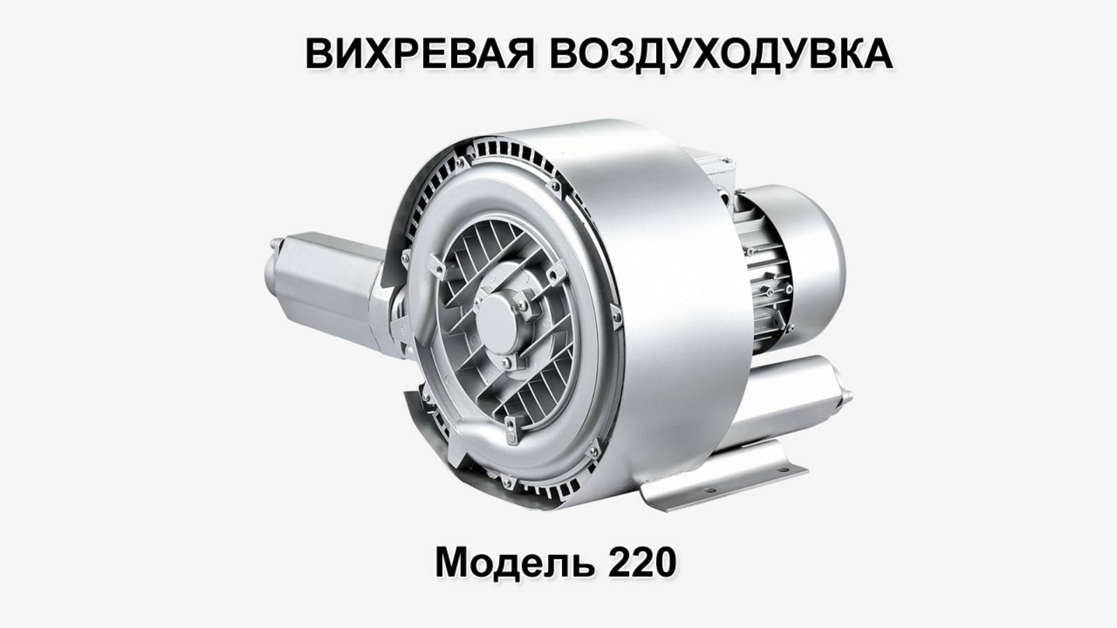 Воздуходувка 2RB 220