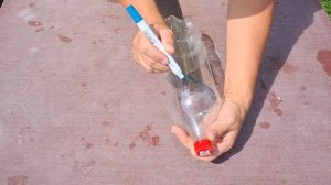 Почему я Раньше до этого не додумался, ягодосборник из пластиковой бутылки за 2 минуты