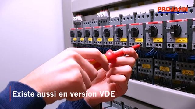 PROJAHN  Tournevis universel 6en1