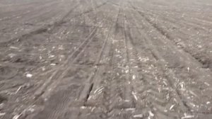 Сеялка венза 8 про в работе