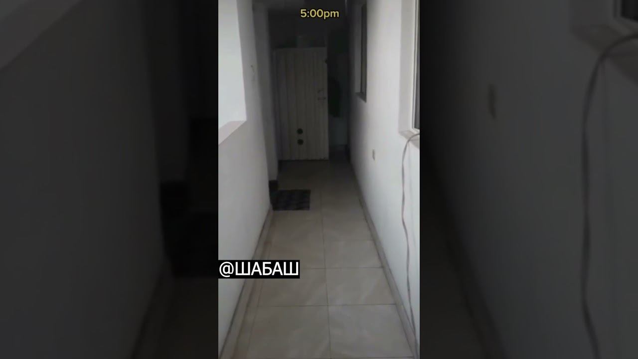 Scary Video #15 смотреть онлайн