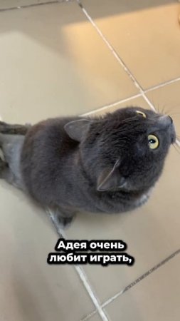 Когда даже боль не способна потушить свет в душе! | Адея