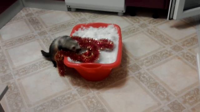 Хорьки и тазик снега 2 смотреть онлайн