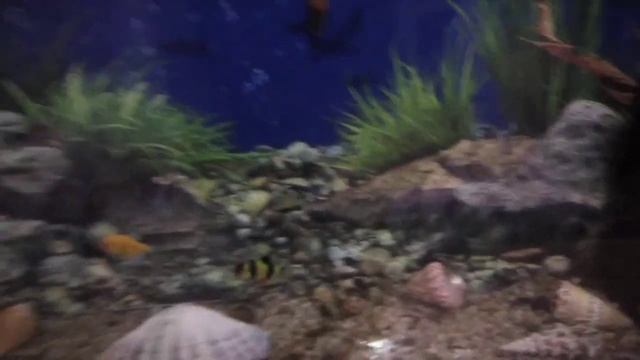 В долно езерово смотреть онлайн