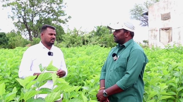 how to start sericulture farming - షేడ్ నిర్మాణo కోసం ఆర్థిక సహాయం/పట్టు పరిశ్రమ
