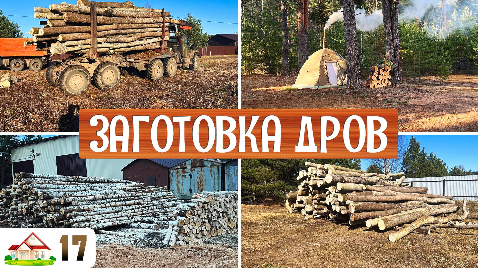 Работа в деревне 17. Планировка и расчистка участков, заготовка березы и осины. Привез 4 фишки.