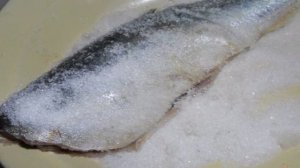 Сельдь соленая простой способ