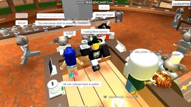 Trolling in Koala cafe.