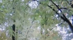 Я прошу, хоть ненадолго