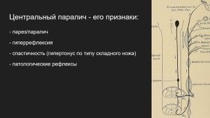 Пирамидная Система: Пути КортикоСпинальный КортикоНулеарный / Виды и Признаки Парезов / Параличей