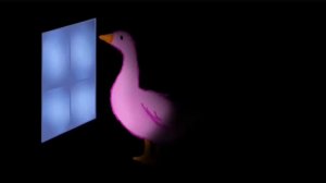 РОЗОВЫЙ ГУСЬ