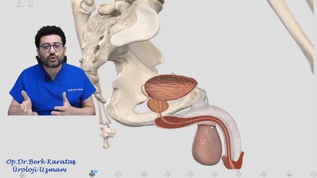 Rüyalanmak - Gece Uykuda Boşalmak