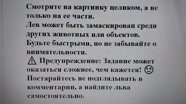 Тест на внимательность: сможете найти за 15 секунд льва на картинке?