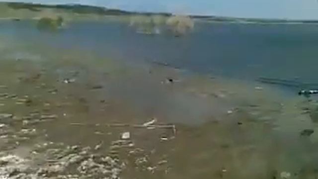 Georgia Marneuli Ribalka Kumisi .flv смотреть онлайн