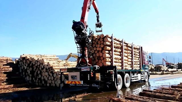 PALFINGER EPSILON 某業界雑誌掲載車 Ｚ格納から M120Z88 信濃交産 смотреть онлайн