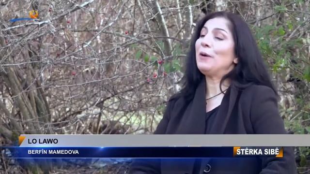 BERFIN MAMEDOVA LO LAWO STÊRK TV смотреть онлайн
