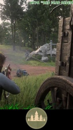 Ролик - RDR2 (17042025 1)