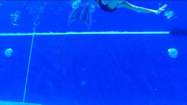 Neon Tetra Mermaid Tail by Moonsong Magic