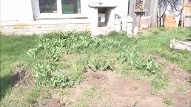 Канал Саша Торопов представляет... смотреть онлайн